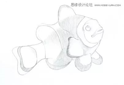 详解彩色铅笔画之小丑鱼的画法