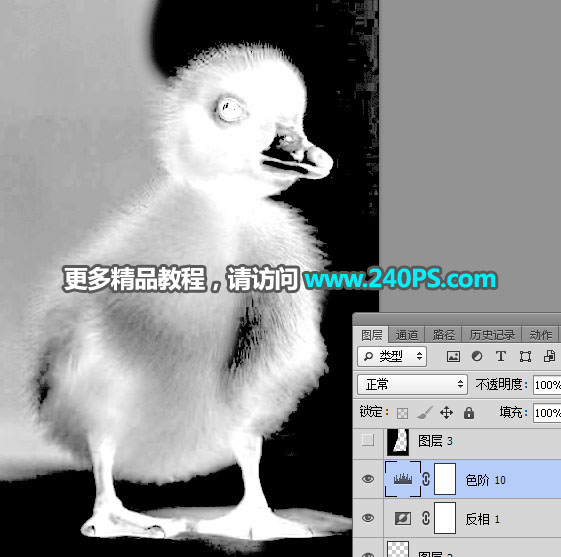 Photoshop使用通道工具抠出毛茸茸的小鸭子