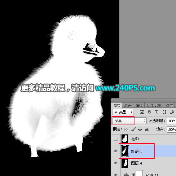 Photoshop使用通道工具抠出毛茸茸的小鸭子