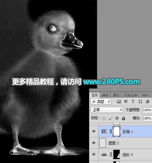 Photoshop使用通道工具抠出毛茸茸的小鸭子