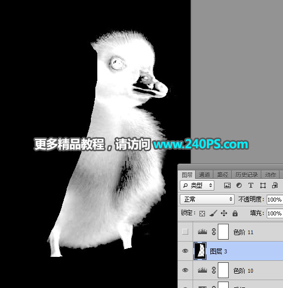 Photoshop使用通道工具抠出毛茸茸的小鸭子