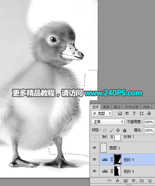 Photoshop使用通道工具抠出毛茸茸的小鸭子
