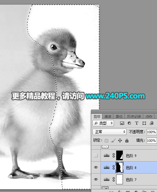 Photoshop使用通道工具抠出毛茸茸的小鸭子
