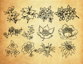 剪纸花朵和花枝装饰PS笔刷
