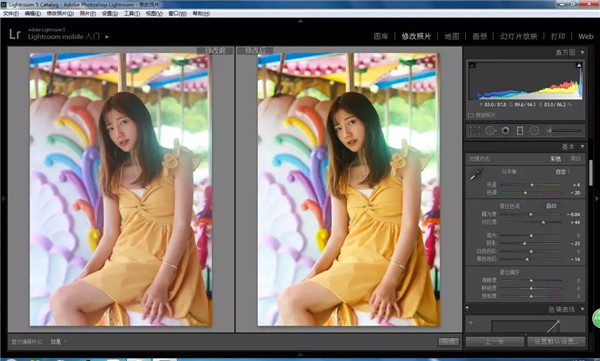 PhotoshopLRƬʸ