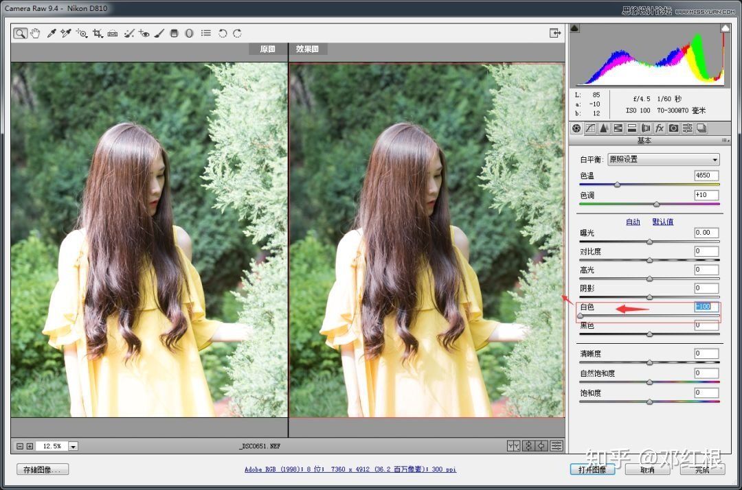 PhotoshopCamera RawĹ