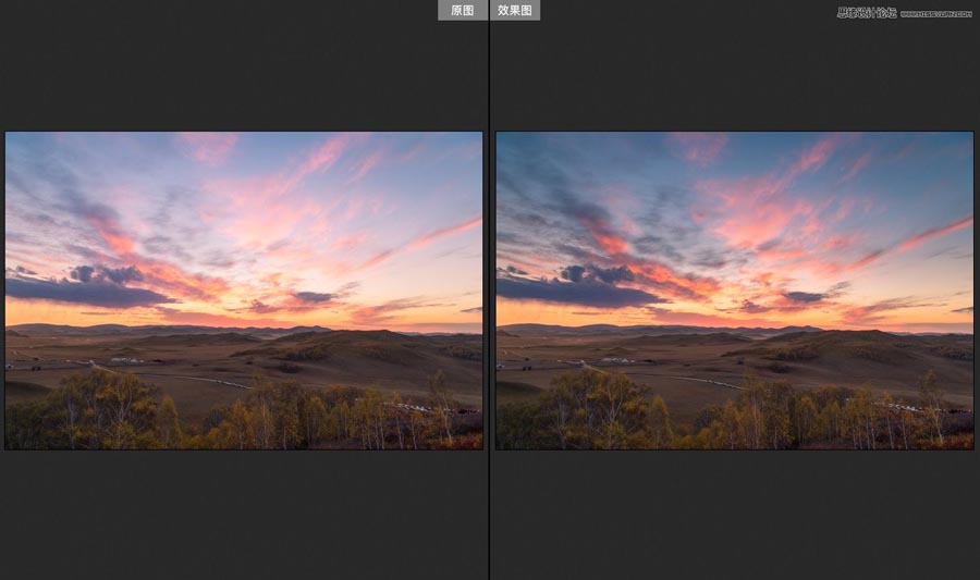 PhotoshopACR˾ںڵ