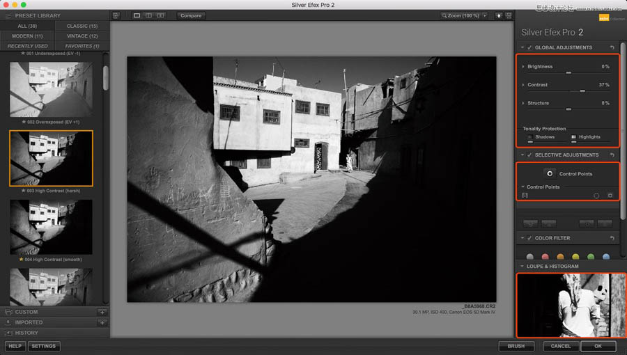 PhotoshopSilver Efex Pro 2˾Ӧ