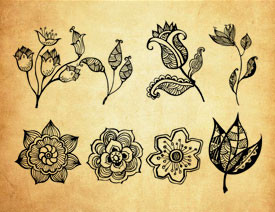 创意的花朵和花枝PS笔刷