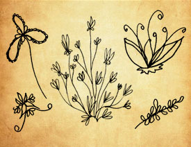 涂鸦手绘植物装饰PS笔刷