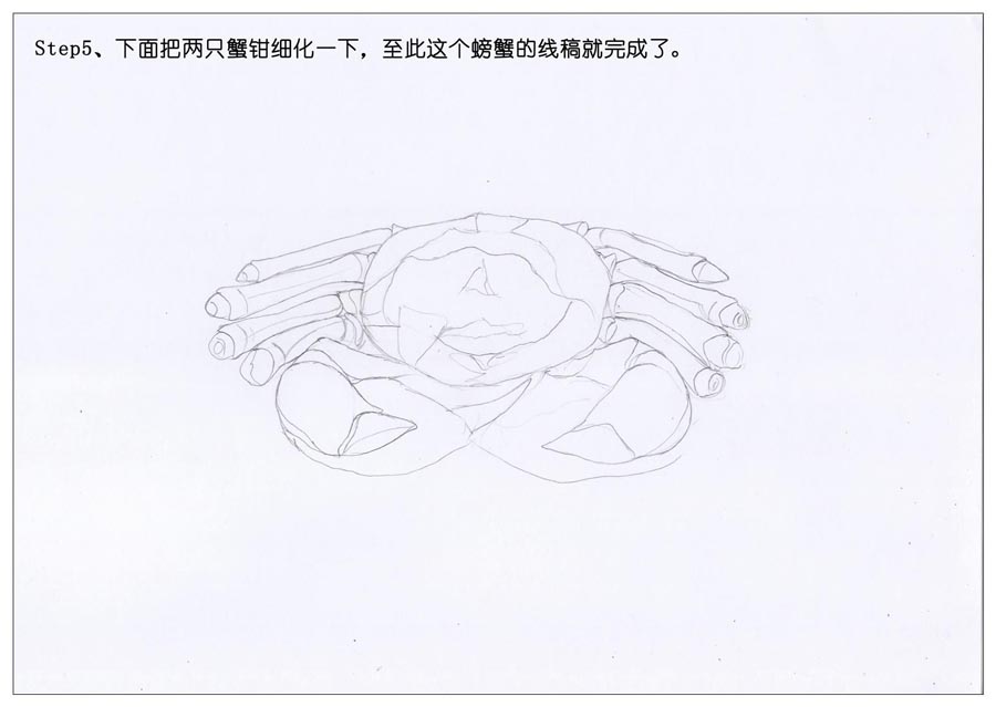 彩色铅笔画之手绘美食大闸蟹