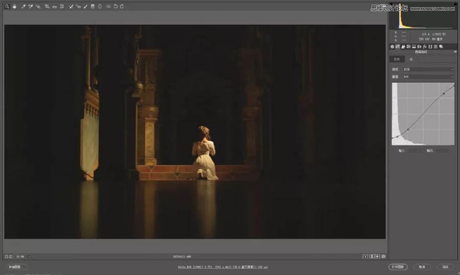 Photoshop制作唯美意境的复古光影效果