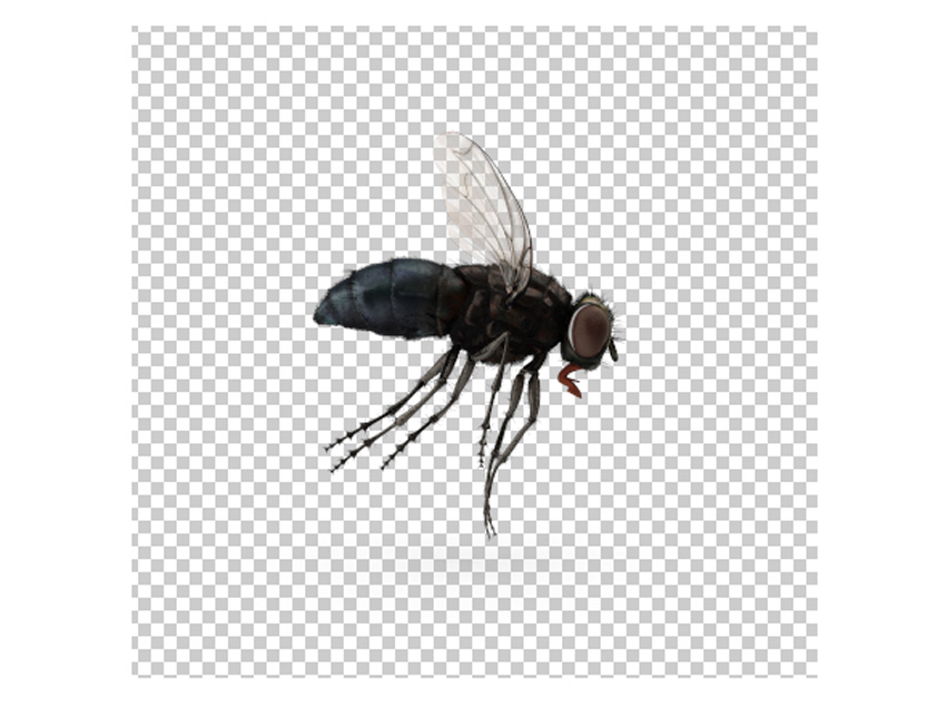 λóPSϳΨө泡