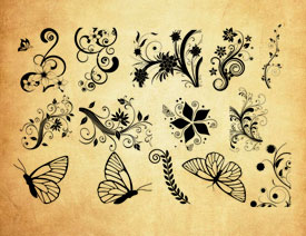 时尚植物花纹和蝴蝶PS笔刷