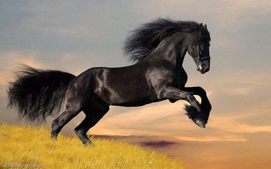 ϳɣPSϳɶѸٵɳ
