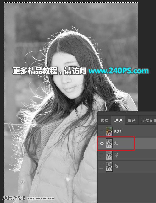 人像抠图:用PS快速抠出多发丝的人像