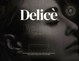 Delice化妆品概念品牌设计欣赏
