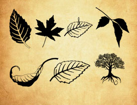 环保标志和树叶树木PS笔刷