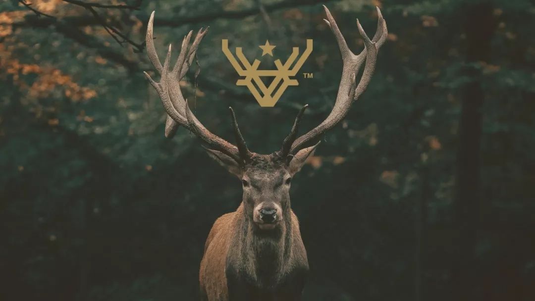 Deer StarơVIƷ