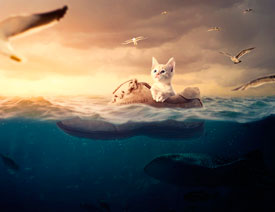 创意合成：用PS合成水中漂流的可爱猫咪