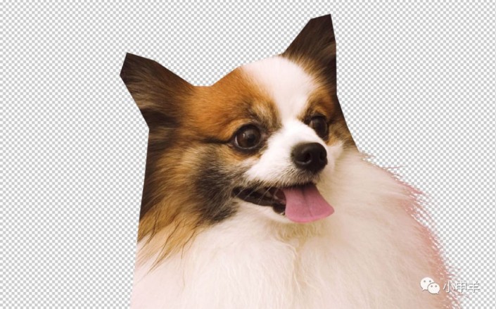 Photoshop使用通道工具抠出可爱的狗狗