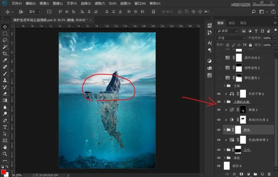 Photoshop设计保护动物公益海报教程