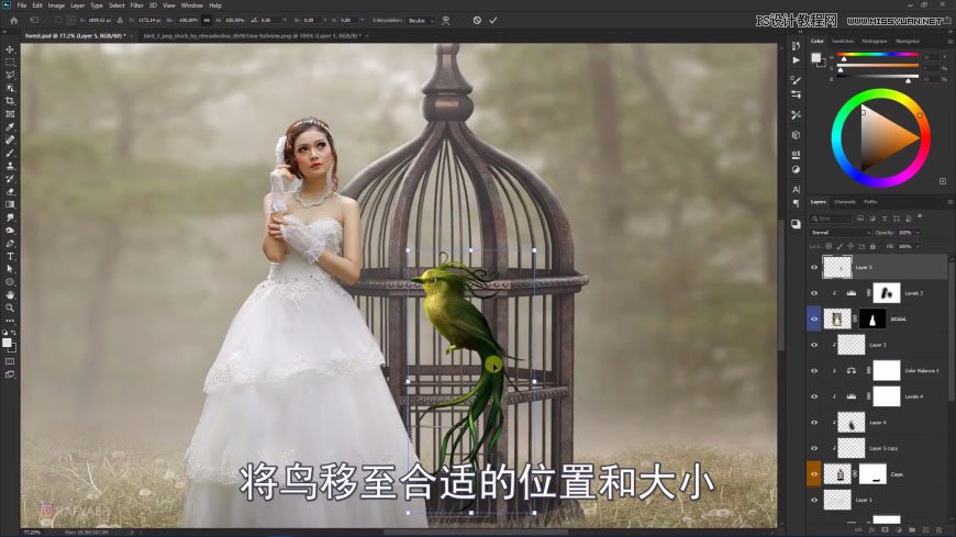 Photoshop´´ÒâºÏ³ÉÉÁÖÖеÄÐÂÄïºÍÄñÁý