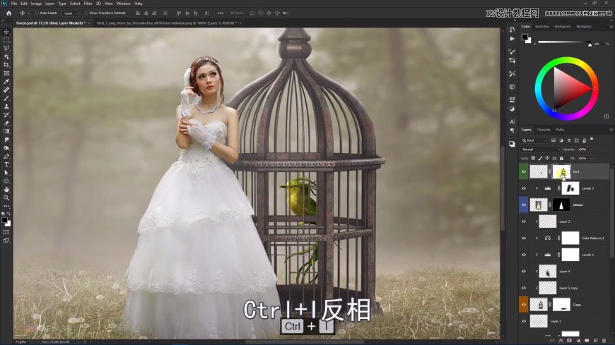 Photoshop´´ÒâºÏ³ÉÉÁÖÖеÄÐÂÄïºÍÄñÁý