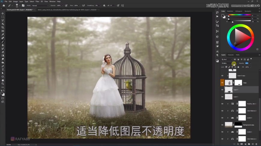 Photoshop´´ÒâºÏ³ÉÉÁÖÖеÄÐÂÄïºÍÄñÁý