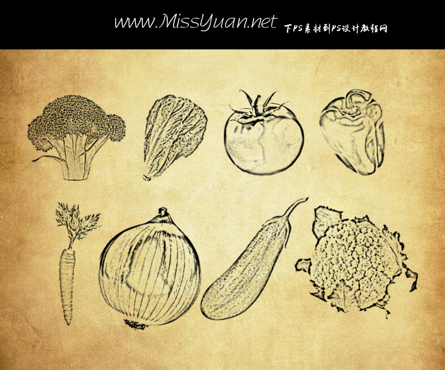 常见的手绘蔬菜PS笔刷