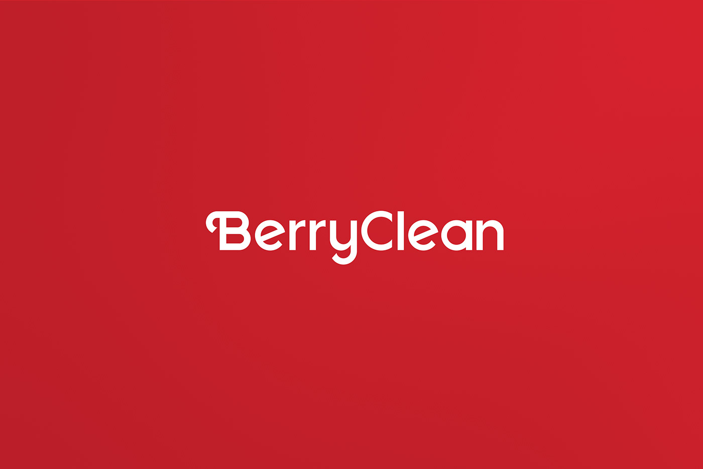 BerryCleanװ